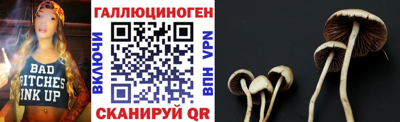 Псилоцибиновые грибы Magic Shrooms  где купить наркотик  ОМГ ОМГ зеркало  Мамоново 